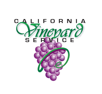 California Vineyard Service